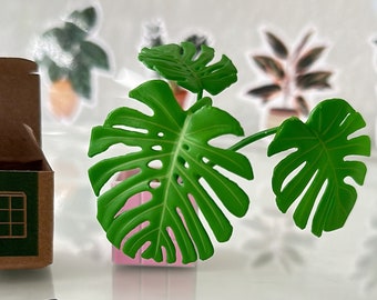 pot plantes Pot de culture transparent main image 0