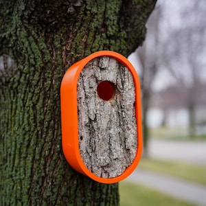 Brilliant Orange Tweet Suite Birdhouse - A Modern Contemporary Birdhouse with Rugged Natural Bark - NON PINSTRIPE