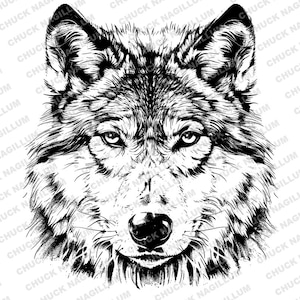 Wolf Portrait | SVG PNG JPG | Wolf svg |  Wolf Download | Wolf Design | Wolf Art | Sublimation | Wolf Drawing | Wolf Print | Wolf png