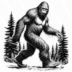 May include: Black and white illustration of Bigfoot walking through a forest. The creature is hairy and has a large, muscular build. The trees are tall and slender, with dark foliage.