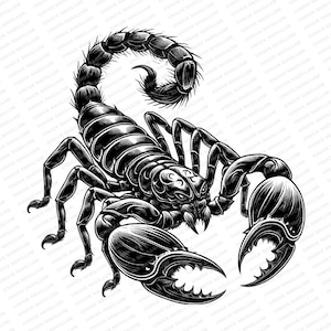 Scorpion | SVG PNG JPG | Danger | Instant Download | Scorpion svg | T-shirt design | Scorpion Art | Sublimation | Print File | Scorpio
