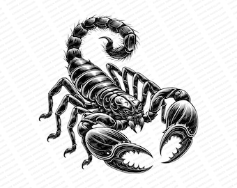 Può includere: Illustrazione in bianco e nero di uno scorpione con la coda arrotolata e gli artigli estesi. Lo scorpione è disegnato in uno stile dettagliato e realistico.