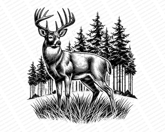 Big Buck | SVG PNG JPG | Deer | Deer Buck Design | Deer Art | Sublimation | Deer Hunting | Buck | Print | White-tailed deer | Deer antlers