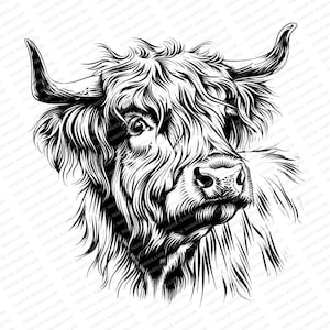 Puede incluir: Dibujo en blanco y negro de la cabeza de una vaca Highland con pelo largo y peludo. La vaca mira hacia la derecha con la boca ligeramente abierta.