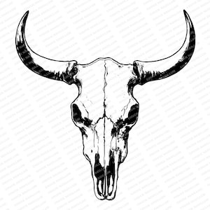 May include: Black and white line drawing of a bull skull with long horns.