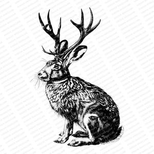 Jackalope | SVG JPG PNG | Jackalope Print | Jackalope Download | Cryptozoology| Deer Hunting | Sublimation | Rabbit | Jackrabbit