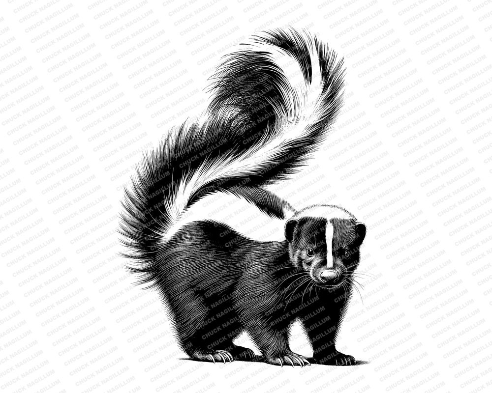 Skunk SVG PNG JPG Stinky Skunk Instant Download Funny Skunk T-shirt