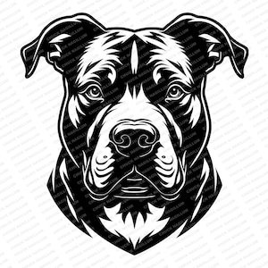 Pitbull Head With Spike Collar Digital Image Includes AI