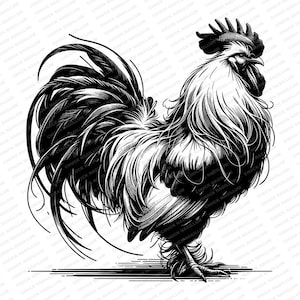 以下が含まれることがあります： 大きく羽根の生えた尾と誇り高い姿勢をした雄鶏の白黒のイラスト