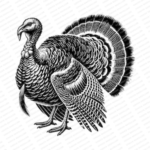 Wilder Truthahn | SVG JPG PNG | Türkei Herunterladen | Erntedank Truthahn | Bauernhof Kunst | Herunterladen | Sublimationsdruck | Schnittdatei | T-shirt Design | Türkei