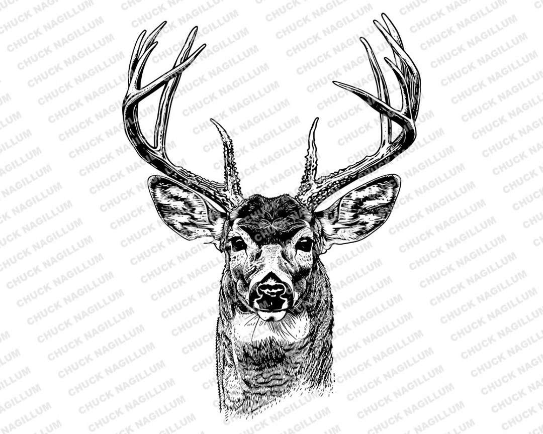 Deer Portrait | SVG JPG PNG | Deer Download | Deer Buck Design | Deer ...