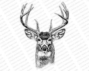 Retrato de ciervo / SVG JPG PNG / Descarga de ciervo / Diseño de ciervo macho / Arte de ciervo / Sublimación / Ciervo / Impresión / Ciervo de cola blanca / Astas de ciervo