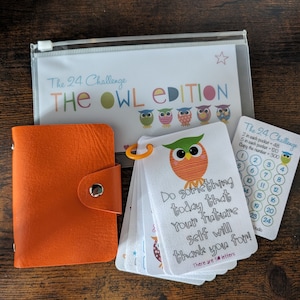 May include: A set of cards for a game called "The 24 Challenge: The Owl Edition". The cards feature owls with colourful designs and the text "Do something today that your future self will thank you for!"