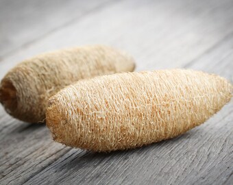 Luffa Gourd Seeds