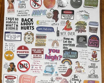 Sarcastic Snarky Sticker Collection 45+ sticker lot dark humor funny variety mixed miscellaneous sarcasm snark (SS3)