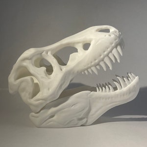 T-Rex Skull Sculpture | Handmade Tyrannosaurus Rex Dinosaur Model