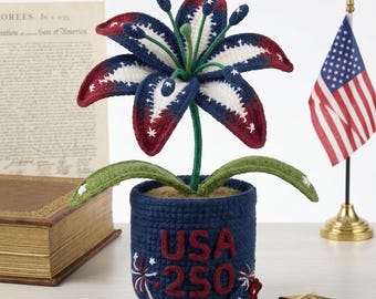 250th Anniversary Crochet, Independence Day Gift, Patriotic Crochet