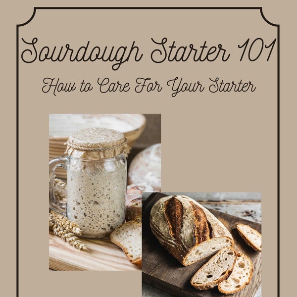 Sourdough Starter 101: How To Care For Your Starter