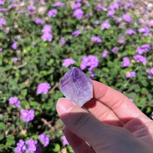 raw amethyst points