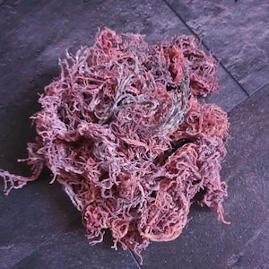 Purple Sea Moss | Premium wildcrafted sea moss from Saint Lucia, sold direct from London | Wholesale