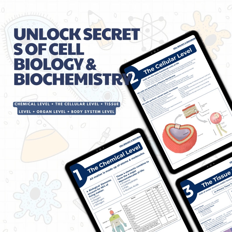 cell biology & biochemistry bundle digital download pdf file study guide nursing school notes digital print printable medical notes .jpg