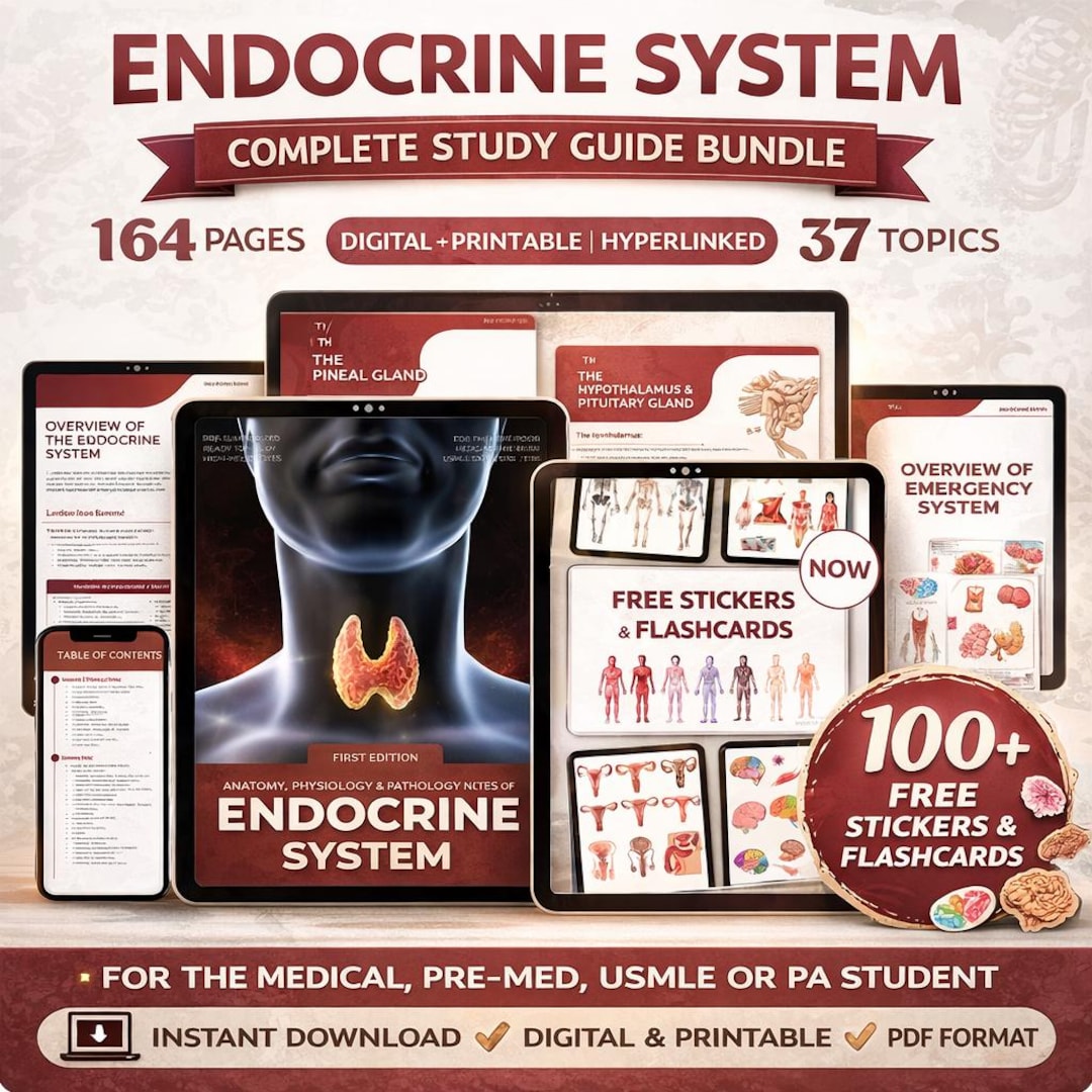 Endocrine System Study Guide Bundle: Medical Notes, Planner, Stickers ...