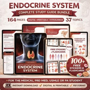 May include: A digital and printable study guide bundle for the endocrine system. The image shows multiple tablets and a phone displaying the guide's content, including anatomy, physiology, and pathology notes. The bundle includes 164 pages, 37 topics, and free stickers and flashcards.