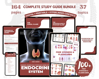 Paquete de sistema endocrino con planificador y pegatinas gratis Guía de estudio completa Apuntes médicos Escuela de enfermería Descarga digital PDF Acceso instantáneo