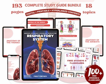 Paquete de sistema respiratorio con tarjeta didáctica y pegatinas Guía de enfermería, archivo PDF de descarga digital, notas de la escuela de enfermería médica Impresión digital