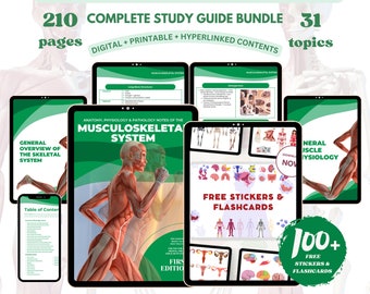 Muskuloskeletal System Bundle mit Planner und Aufklebern, Pflegeanleitung, Digitaler Download PDF-Datei, Pflegeschulnotizen Digitaldruck