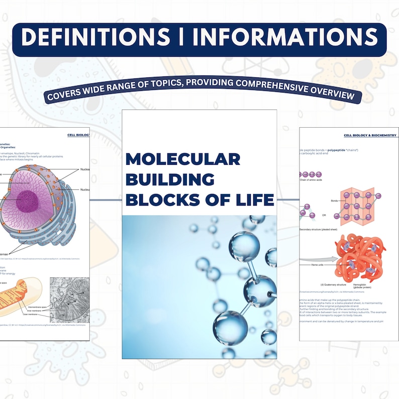 cell biology & biochemistry bundle digital download pdf file study guide nursing school notes digital print printable medical notes .jpg