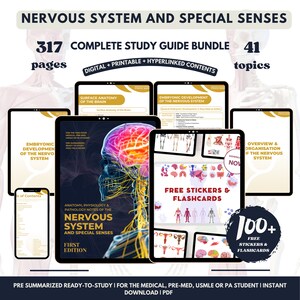 May include: A digital study guide bundle for the nervous system and special senses. The bundle includes 317 pages and 41 topics. The cover features a colorful illustration of the brain and the text "Nervous System and Special Senses".