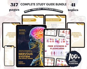 Paquete de sistema nervioso y sentidos especiales con tarjeta didáctica y pegatinas, notas médicas descarga digital PDF, notas de la escuela de enfermería impresión digital