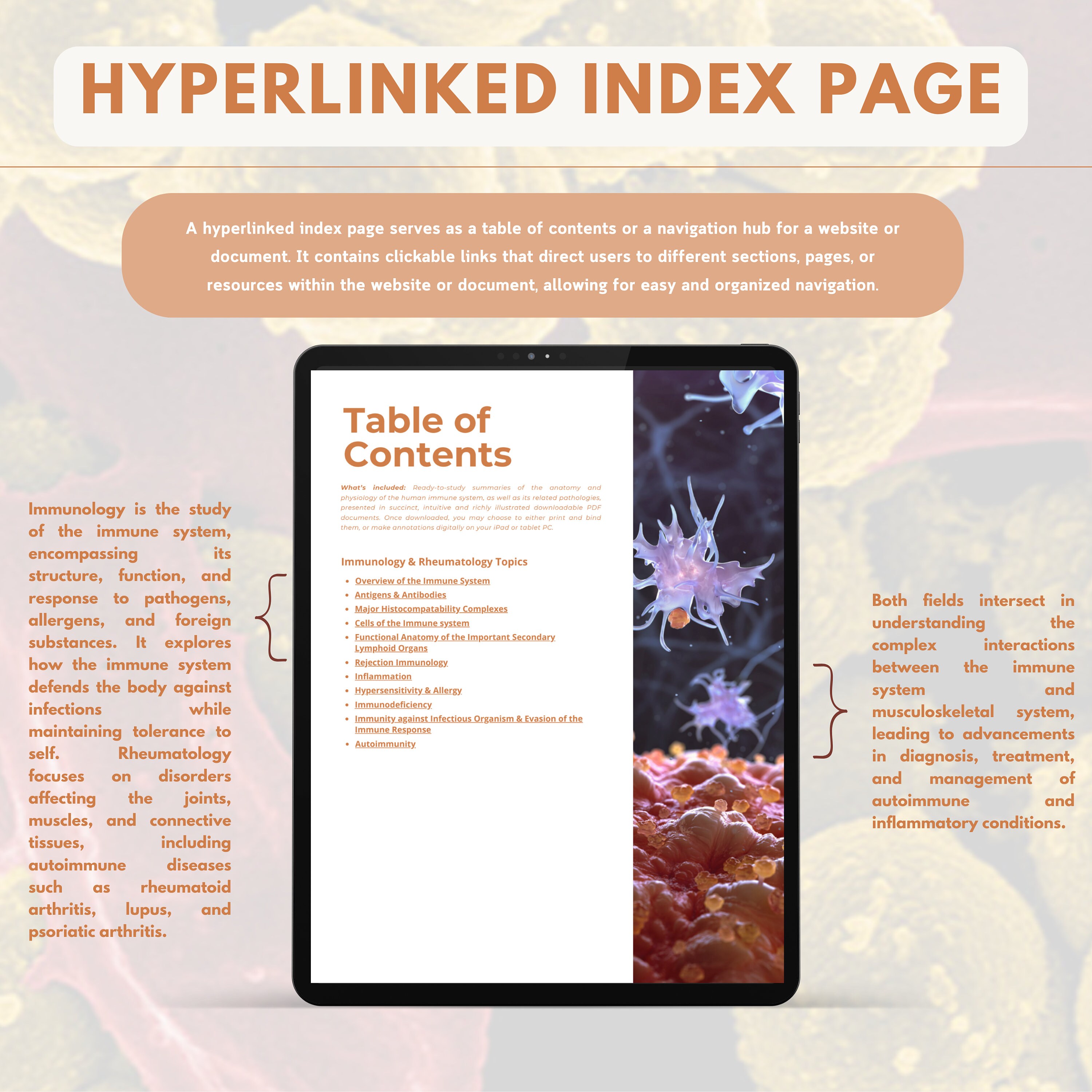 Immunology and Rheumatology Bundle, Nursing School Notes Digital ...
