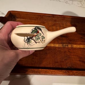 May include: A cream-colored ceramic neti pot featuring a detailed illustration of a bird perched on a branch with green leaves and small berries. The pot has a long, tapered spout and a horizontal slit opening on the side, accented by thin green lines.