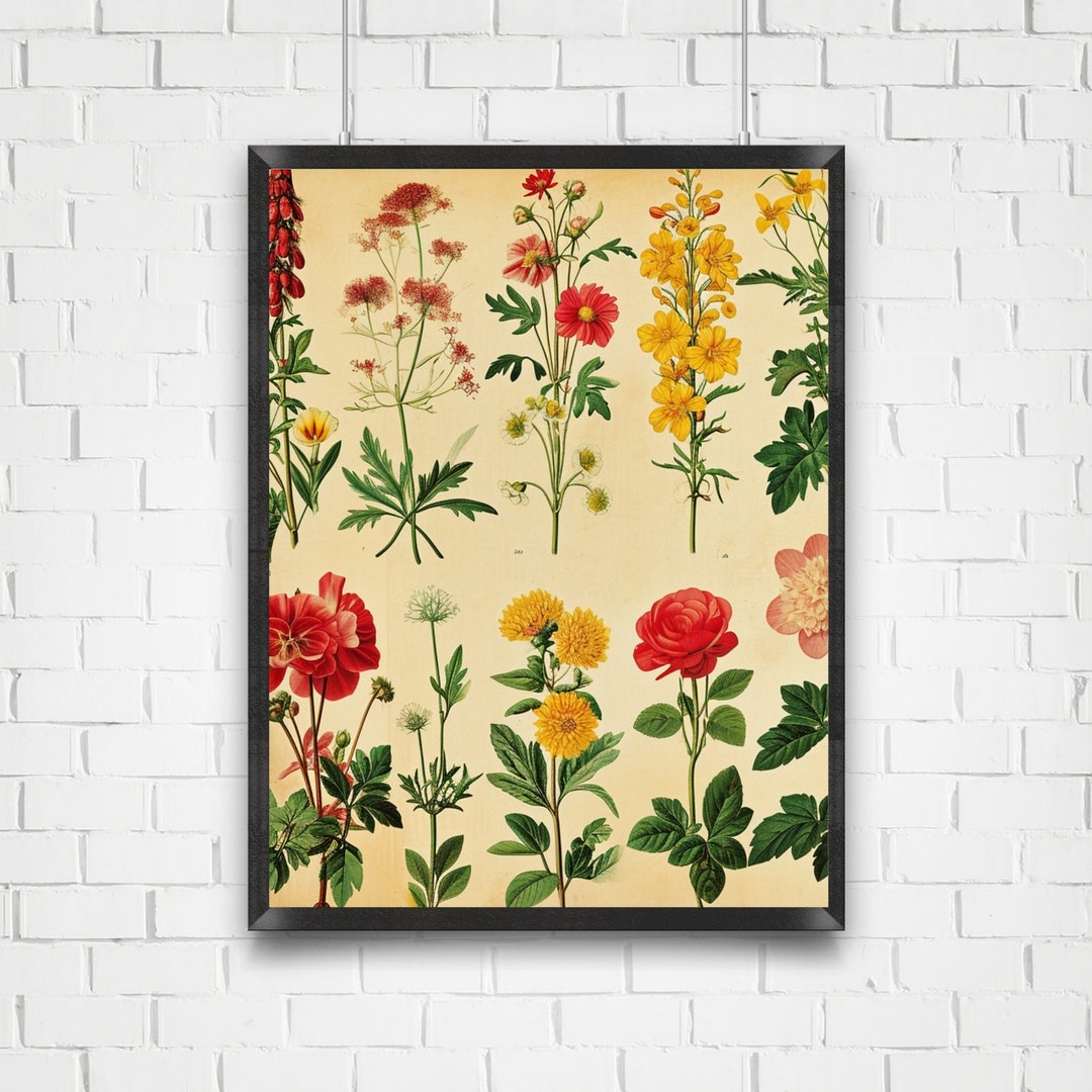 Vintage Botanical Flower Chart Digital Download, Digital Wall Art Decor ...