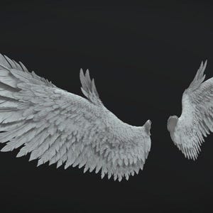 Könnte beinhalten: Ein Paar weiße, gefiederte Engelsflügel, ein Flügel ist ausgebreitet und der andere ist eingeklappt, vor einem dunkelgrauen Hintergrund.