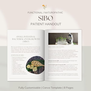 SIBO Lernführer | Bearbeitbar | Canva Vorlage | Für Heilpraktiker, Ernährungswissenschaftler | PLR | Weiterverkaufsrechte