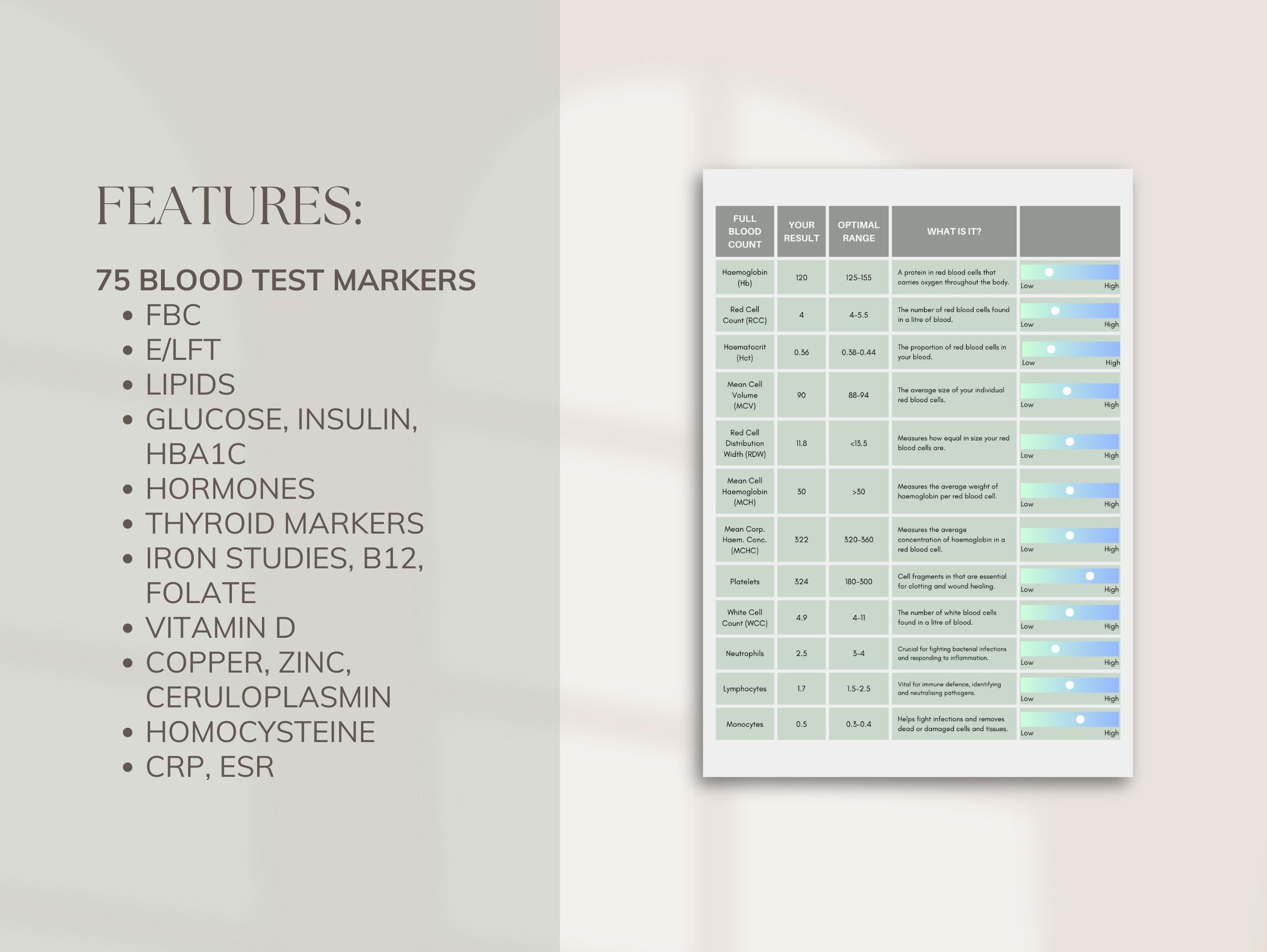Pathology Query Template Pathology / Blood Test Analysis | Patient Report | Canva Template | for ...