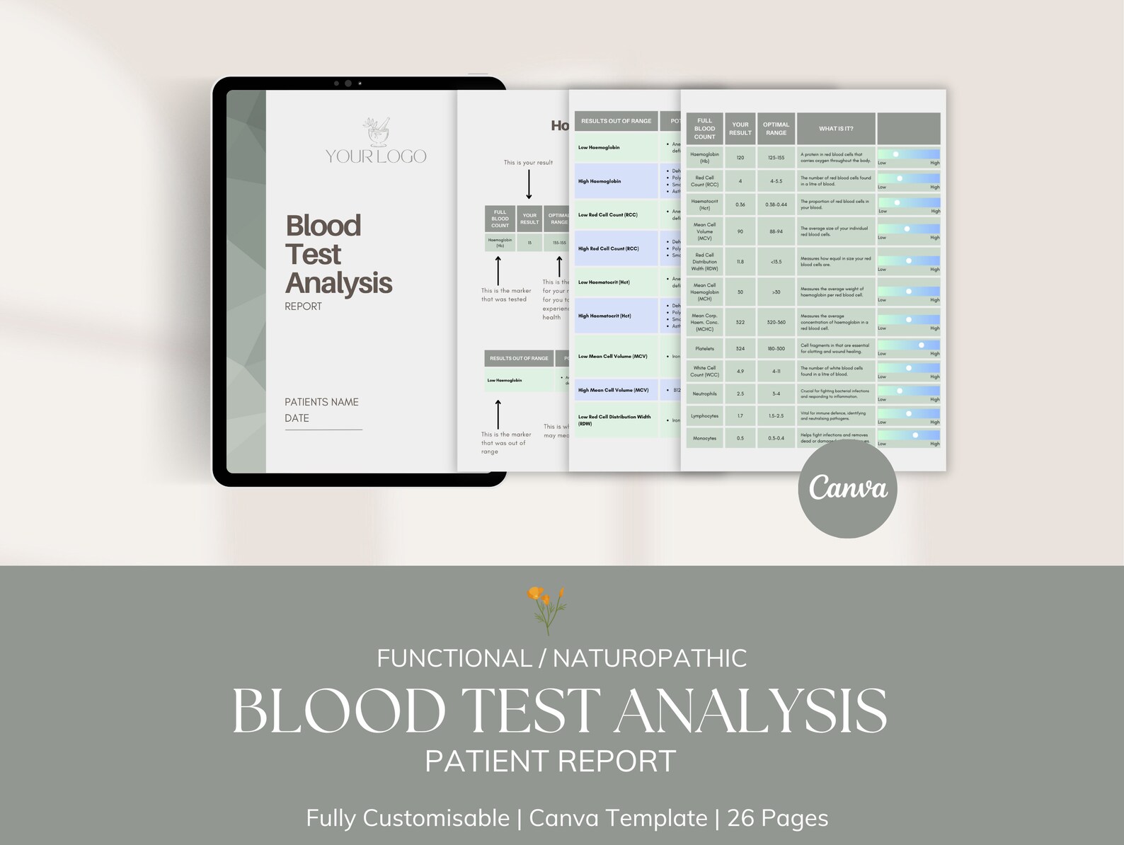 Path Lab Report Template Pathology / Blood Test Analysis | Patient Report | Canva Template | for ...