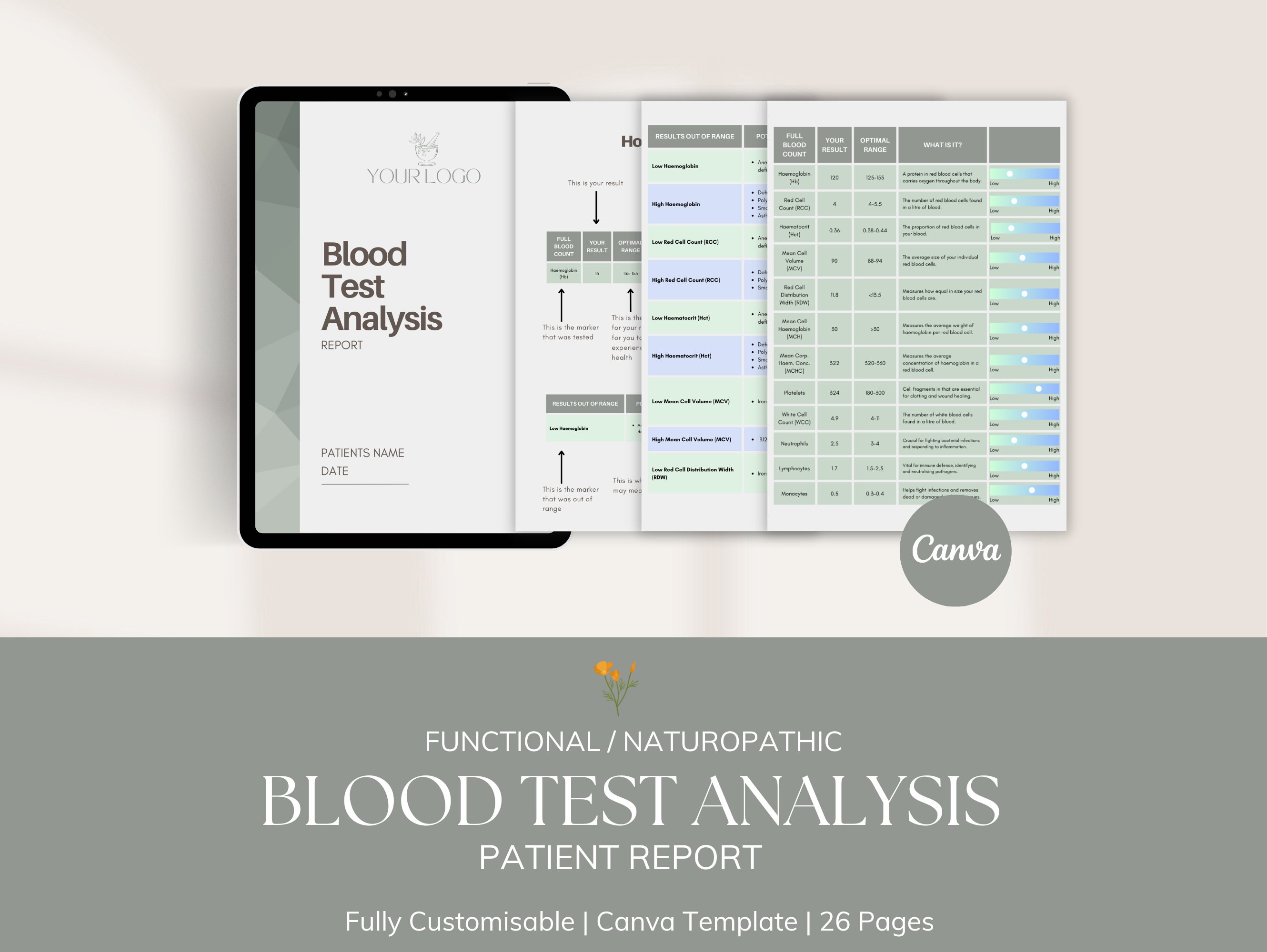 Pathology / Blood Test Analysis | Patient Report | Canva Template | for ...