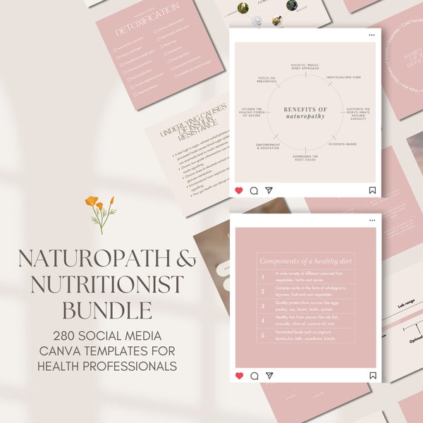 Naturopath & Nutritionist Social Media Posts | 280 educational posts | Hormones | Nutrition | Gut | Mental wellbeing | Pink | Canva Template