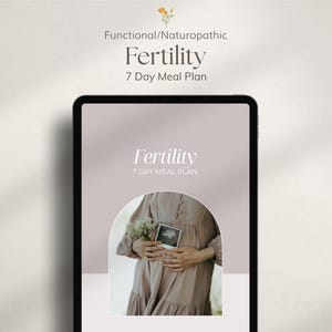 Fertility Meal Plan For Both Partners, Canva Template, For Naturopaths, Nutritionists, Other Practitioners