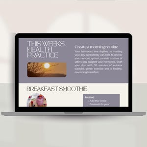 Perimenopause email marketing canva template