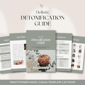 Ganzheitlicher Detox-Leitfaden, PLR E-Book, bearbeitbare Canva-Vorlage, Für Naturheilkundige, Ernährungswissenschaftler, Naturgesundheitspraktiker
