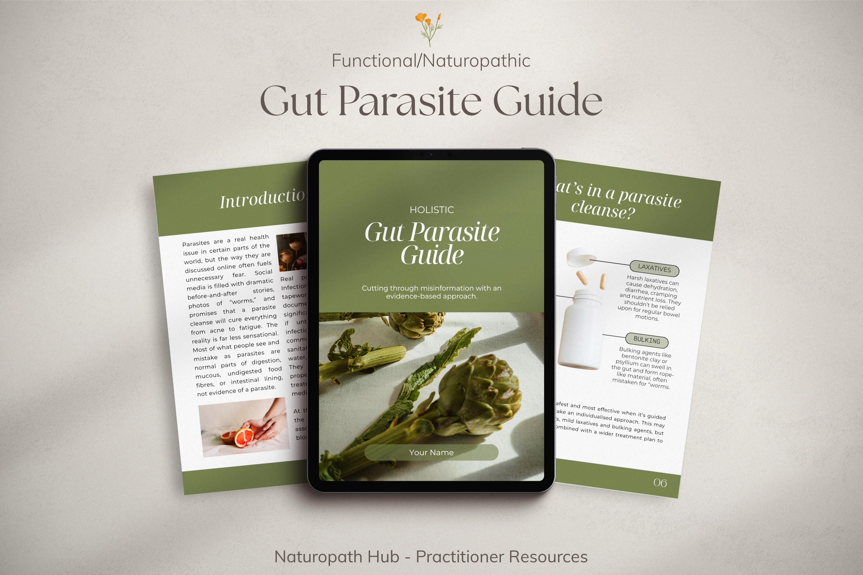 Gut Parasite Guide: 14 Page Canva Template for Naturopaths and Other ...