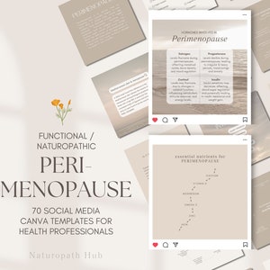 Puede incluir: Un conjunto de 70 plantillas de Canva para profesionales de la salud, centradas en la perimenopausia. Las plantillas utilizan una paleta de colores neutros e incluyen información sobre hormonas y nutrientes esenciales. El diseño incorpora un elemento floral.