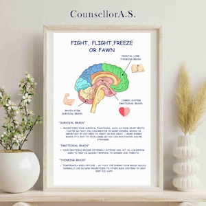 May include: A printable poster with a colorful illustration of the human brain, divided into sections labeled "Survival Brain", "Emotional Brain", and "Thinking Brain". The poster explains the "Fight, Flight, Freeze, or Fawn" response to stress.