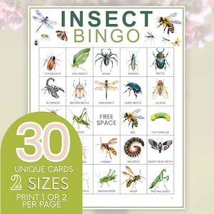 Op de afbeelding: Een printbare insectenbingo-kaart met 30 unieke kaarten in twee formaten. De kaart bevat illustraties van verschillende insecten, waaronder een kakkerlak, bladinsect, spin, oorworm, kever, schorpioen, bruine kever, libel, mestkever, cicade, cricket, bij, rups, hoornaar, duizendpoot, doodshoofdvlinder, sprinkhaan, wesp en bidsprinkhaan. De kaart bevat ook een gratis vak.