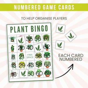 Op de afbeelding: Een groene en witte bingokaart met de titel "Plant Bingo". De kaart heeft een 5x5 raster met de nummers 5, 6, 8, 13, 16, 20, 21, 29, 35, 40, 43, 50, 56, 58, 60, 61, 62, 65, 68 en 69. Het middelste vakje zegt "Gratis ruimte".